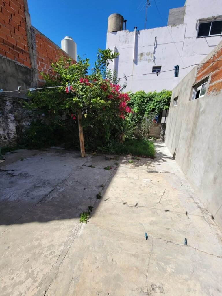 Imagen-de-WhatsApp-2024-07-05-a-las-12.52.17_df2f288a-scaled