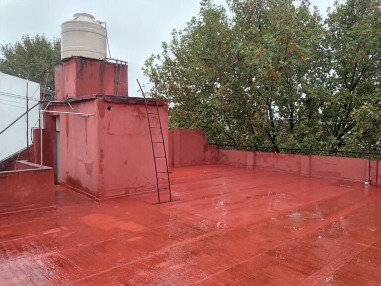 Imagen de WhatsApp 2024-09-24 a las 12.52.24_5e55b938