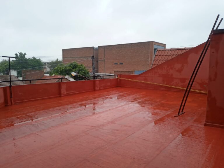 Imagen de WhatsApp 2024-09-24 a las 12.52.24_7ce2c1ed