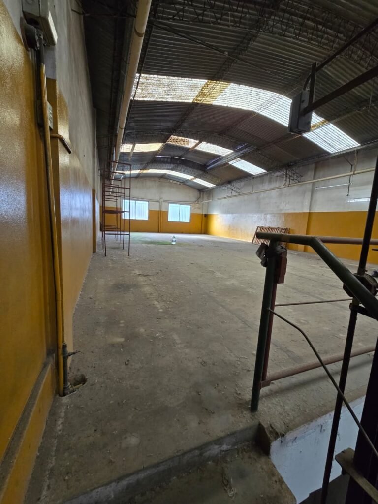 HPrimo2126_semiescalera